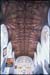 fitzalan_chapel_ceiling