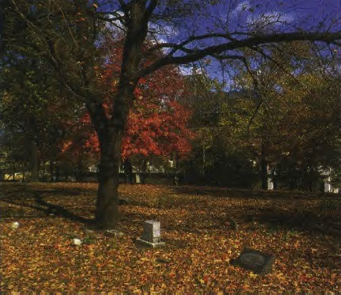 Huron_Indian_Cemetery_2002
