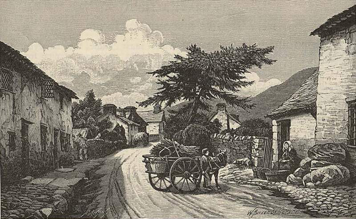 Llanwddyn1800s