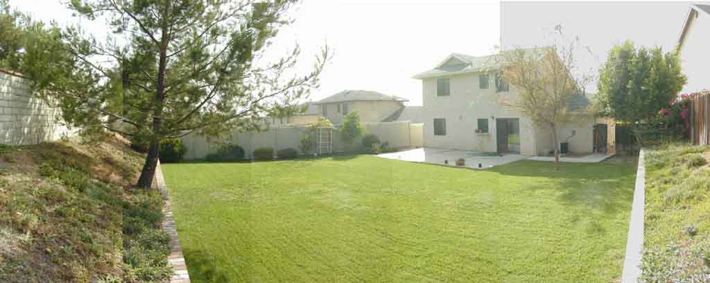 Back Yard And Back Of House