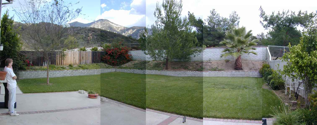 View From The Back Yard