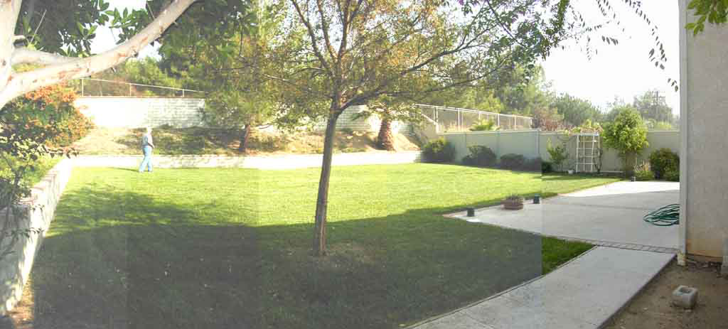 The Back Yard