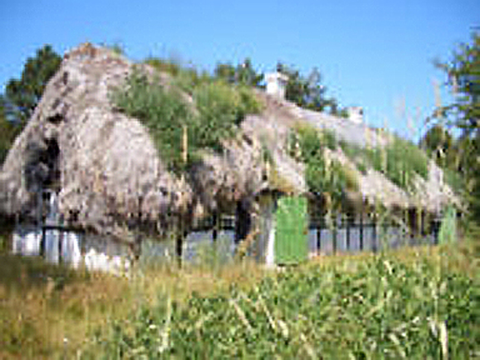 laeso_seaweed_thatch